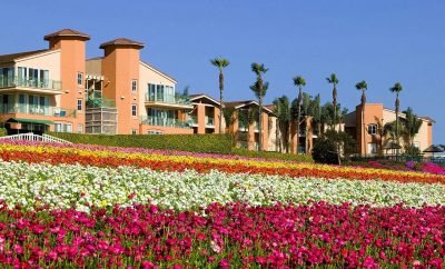 Grand Pacific Palisades by Hilton One-Bedroom Suite