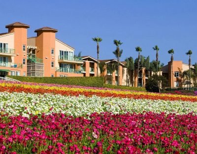 Grand Pacific Palisades By Hilton One-Bedroom Suite